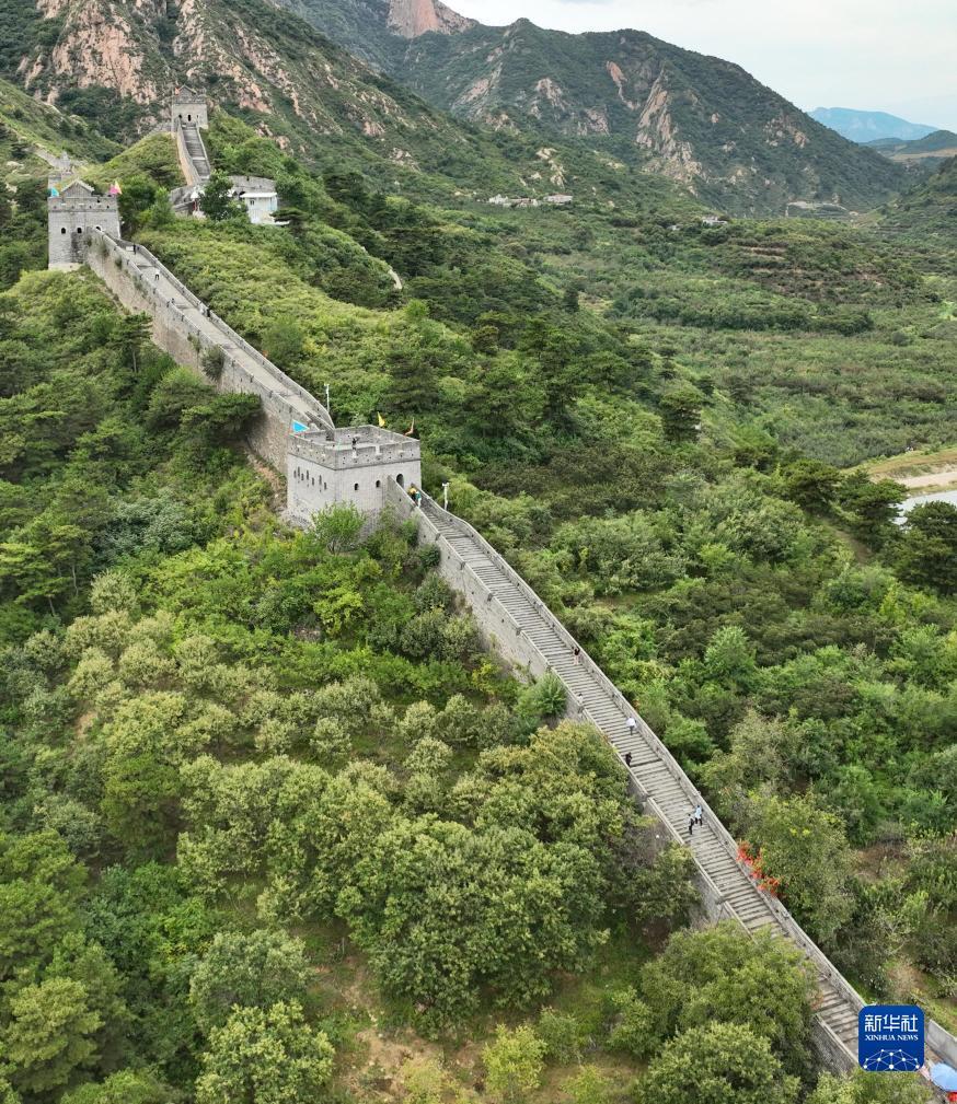 正规游戏赚钱平台